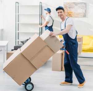 Household Moving Services